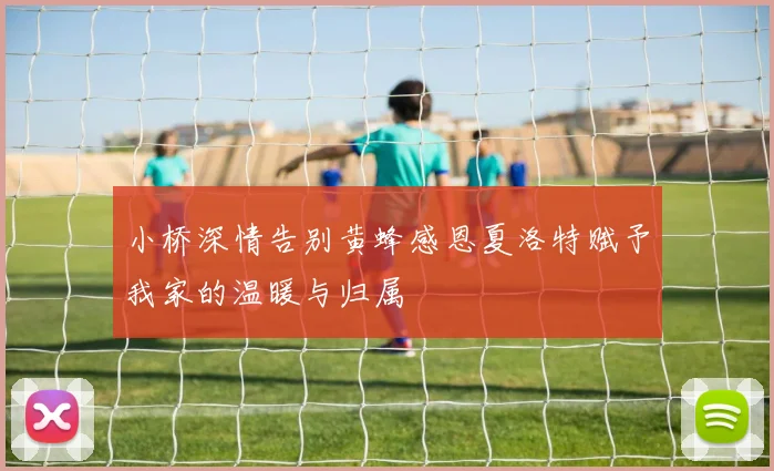 小桥深情告别黄蜂感恩夏洛特赋予我家的温暖与归属