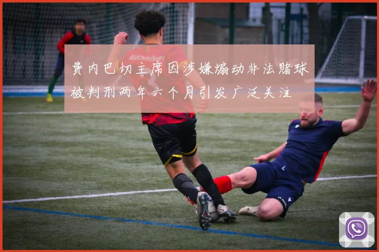 费内巴切主席因涉嫌煽动非法赌球被判刑两年六个月引发广泛关注